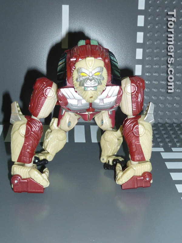 Botcon 2014 Knight 3 Pack Attendee Set  (38 of 82)